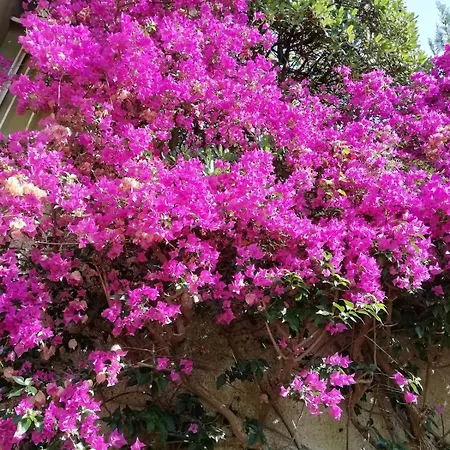 La Casa Di Giò Appartamento